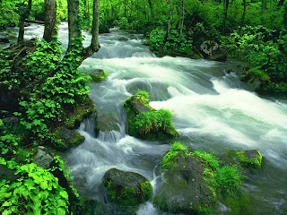 Nature Beauty