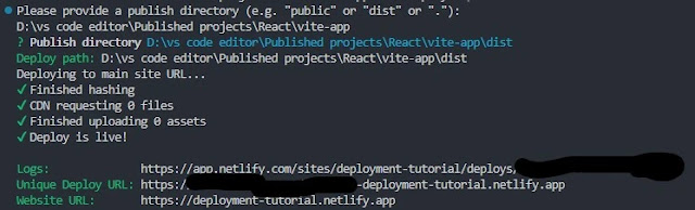 Netlify deployed, code armor, netlify, terminal