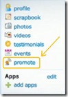 Orkut_Promote