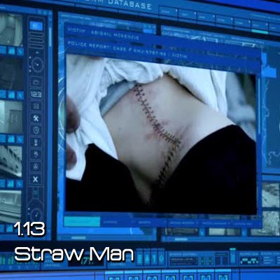 http://almosthumanfrance.blogspot.fr/2014/03/la-critique-de-straw-man-s01e13.html