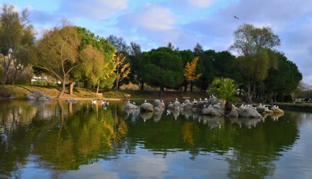 منتزه بحيرة بهجة شهير غوليت(حديقة البط) في إسطنبول