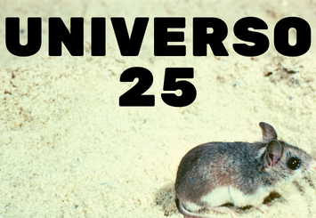 Universo 25