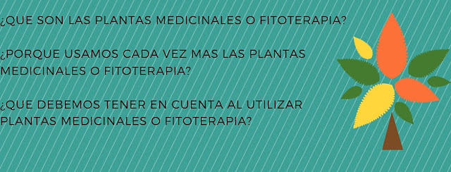 plantas medicinales, fitoterapia, ¿que son? y como usarlas