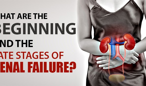 What are the beginning and the late stages of renal failure?