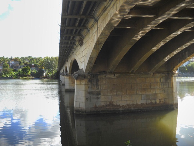 DSCN7039
