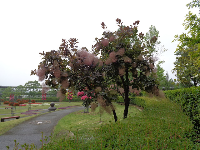 とっとり花回廊の霧の庭園