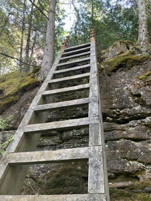 Bruce Trail Escarpment ladder.