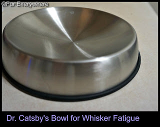 Dr. Catsby's Bowl for Whisker Fatigue