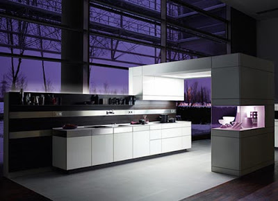 Kitchens Designs 2011
