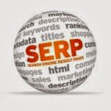 SERP Search Engine Result Page