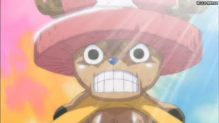 ワンピースアニメ スリラーバーク編 367話 チョッパー Tony Tony Chopper | ONE PIECE Episode 367 Thriller Bark