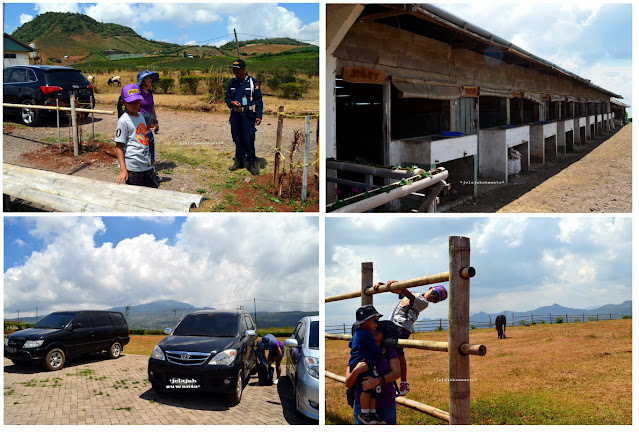 Tempat parkir dan ranch kuda malino highland