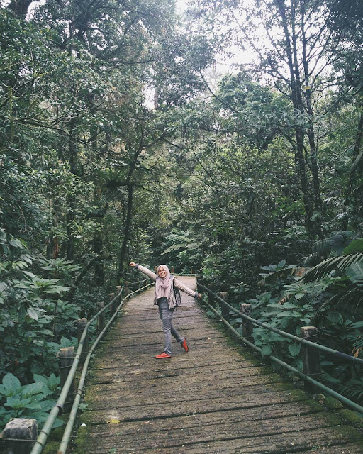 foto jalan menuju curug cibeureum