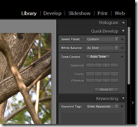 Lightroom 2 | Quick development options