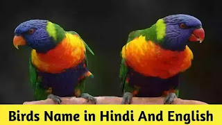 Birds name in hindi and english