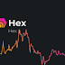  HEX price prediction, How much will HEX be worth in 5 years?
