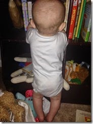 IMG_0264 IMG_0264