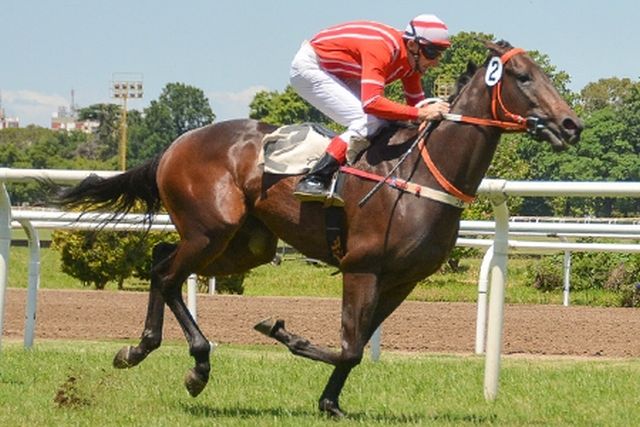 Caballo Seresta Jump Start