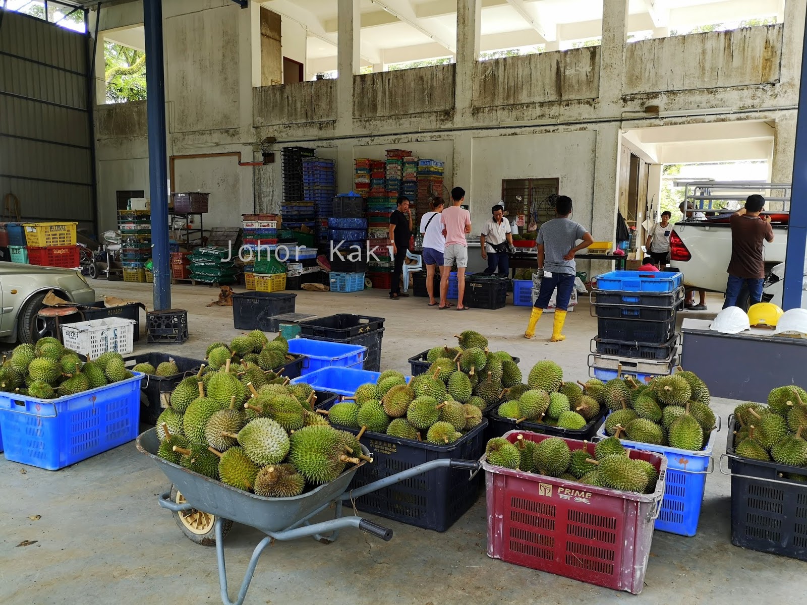Nearest Durian Farm from Singapore. Zhong Cheng Durian ...