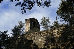 P1100437b