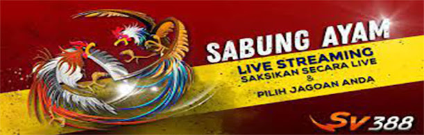 SV388 Daftar Situs Judi Sabung Ayam Online Pisau  Agen Terpercaya Indonesia Luckypoker77