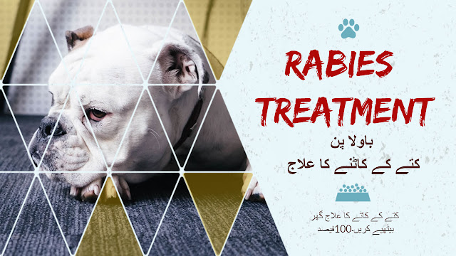 rabies treatment in urdu