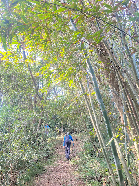 往大草排山