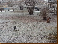 20131222_084537