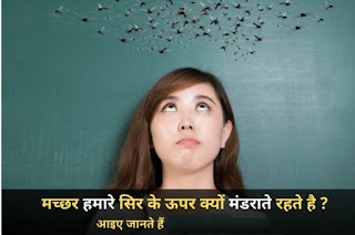 Amazing knowledge :- मच्छर हमारे सिर के ऊपर क्यों मंडराते रहते है? ||  Why do mosquitoes keep hovering over our heads?