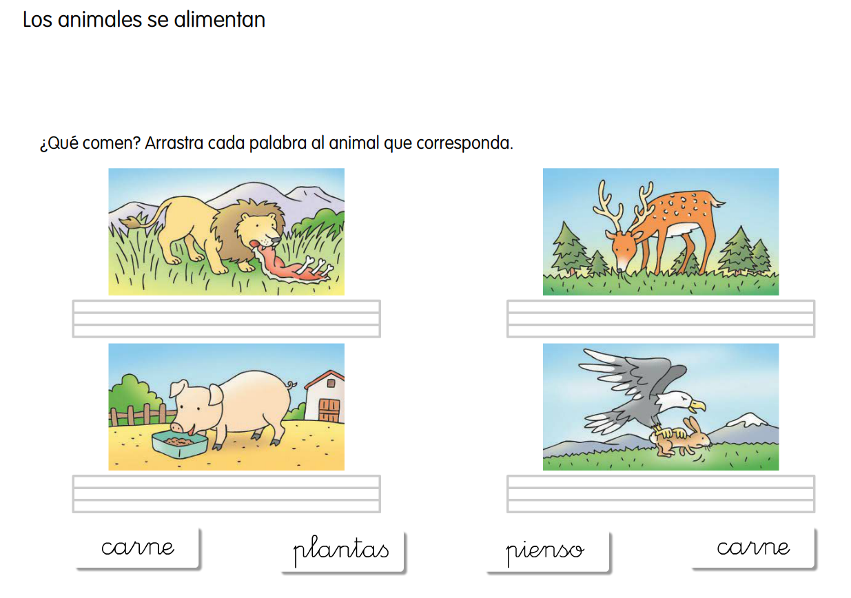 http://www.ceiploreto.es/sugerencias/cp.juan.de.la.cosa/Actividades%20PDI%20Cono/01/08/04/010804.swf