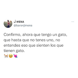 Tweet de Jimena Barón sobre los gatos