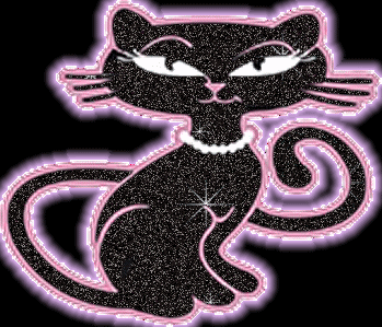 gatos divertidas (18)