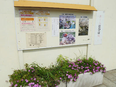 門真市・弁天池公園　掲示板