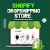 Best Developers for Shopify Drop shipping Store in 2024 