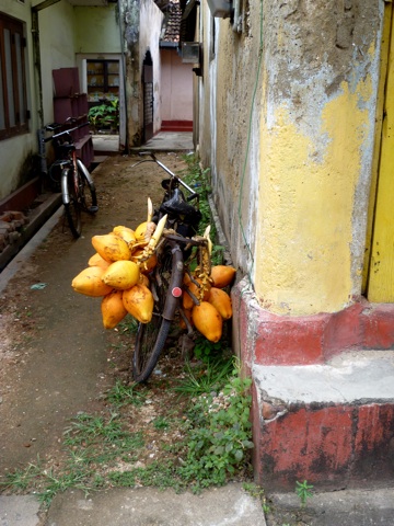Talalla 02.jpg
