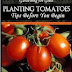 Planting Tomatoes - Kindle Non-Fiction