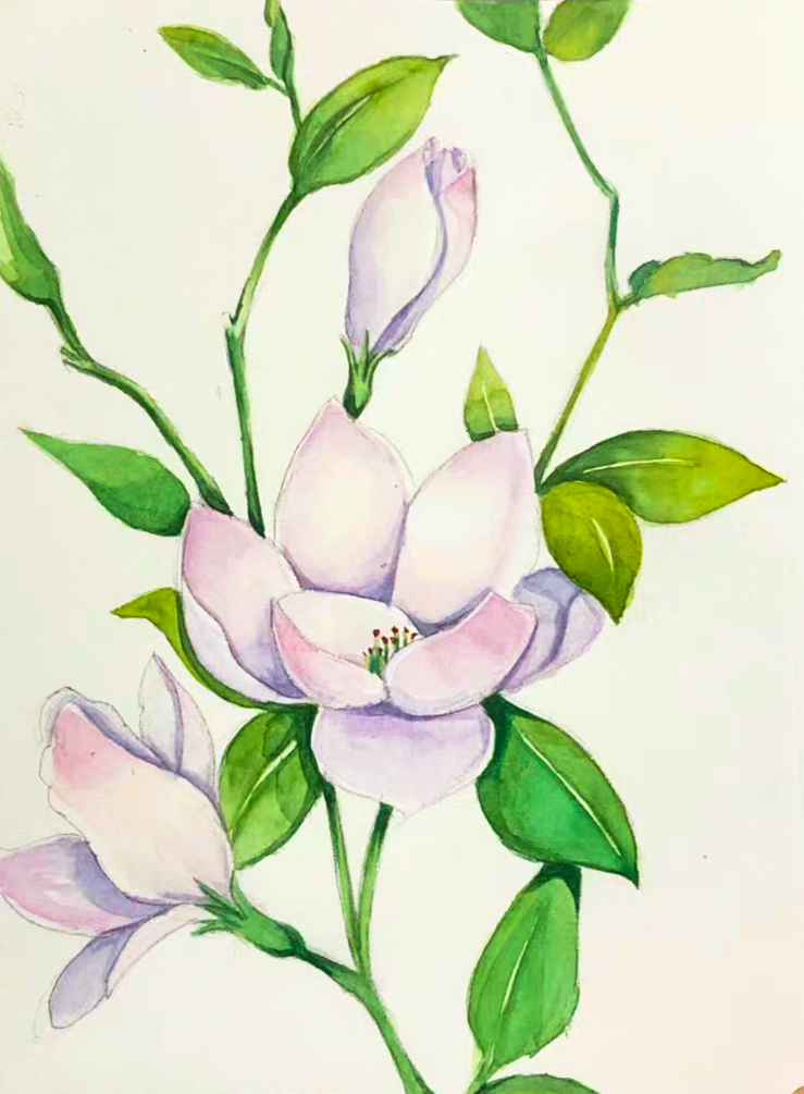 26 Watercolor ideas of flower fruit ，Where is Watercolor from？come to see my collection