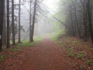 Lefelé a hegytetőről