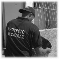 Proyecto Alcatraz