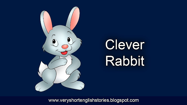 Clever Rabbit