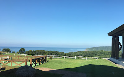 晴れた日のホテルヒルズからみる景色