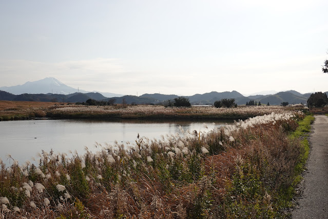 島根県安来市穂日島町 排水池 大山の眺望