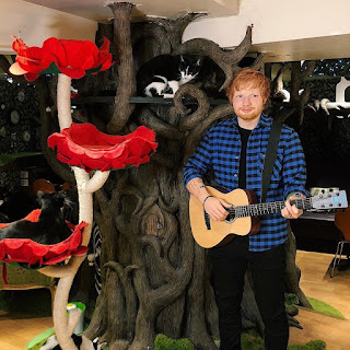 Melihat Patung Lilin Unik Ed Sheeran Di Kelilingi Kucing 