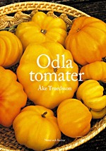 odla tomater