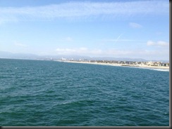 beach day 7