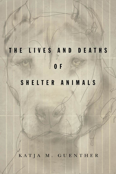 Katja M. Guenther explores feminist politics, human exploitation of animals, and animal shelters in the United States