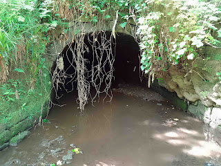 <img src="img_hidden tunnels in yorkshire, Manchester Urbex.jpg" alt="Images of the 700 yard mill race in hebden bridge">