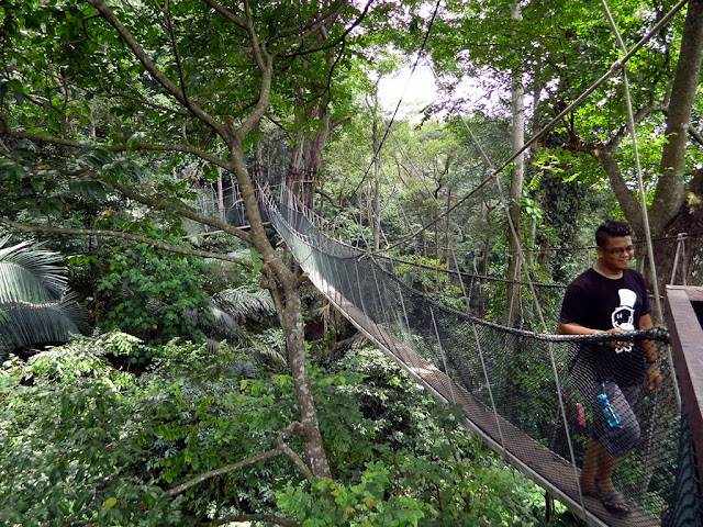 Canopy Walkway