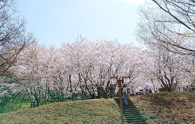 大阪府立近つ飛鳥風土記の丘(河南町)