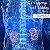 COVID-19 and kidney health: Some guidelines for people suffering from chronic kidney disease